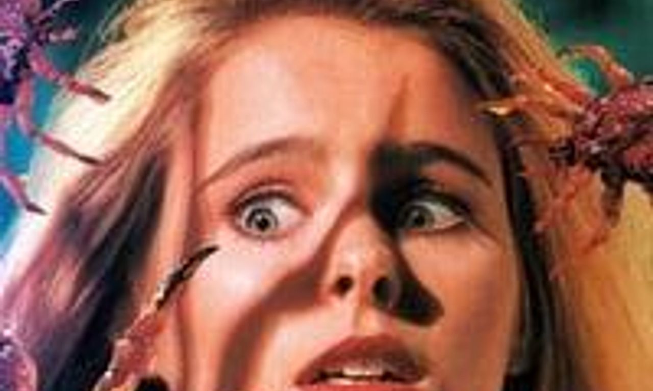 header image for Ticks