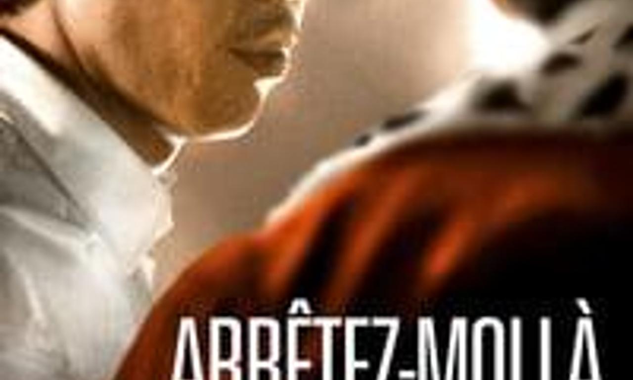 header image for Stop Me Here