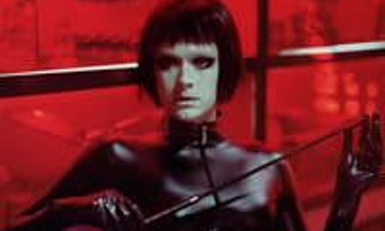 header image for Dogs Don't Wear Pants