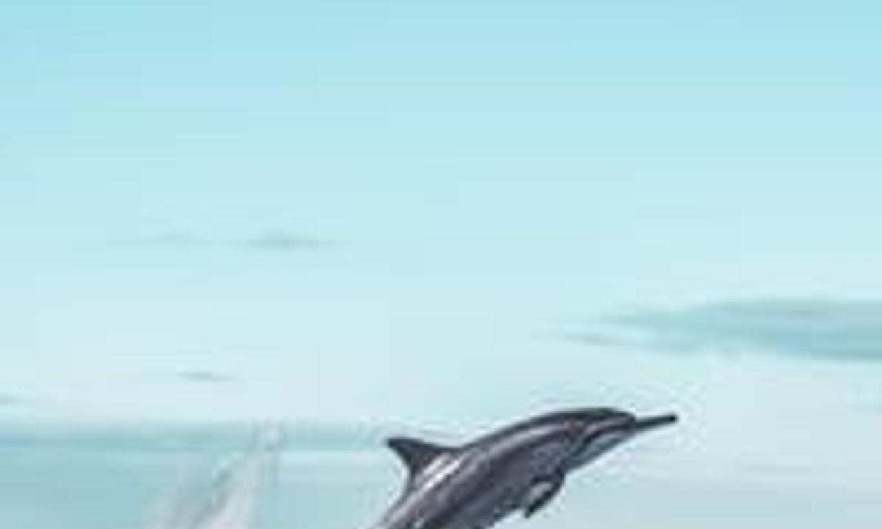 header image for The Legend Of Ivan Tors