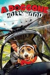 A Doggone Hollywood