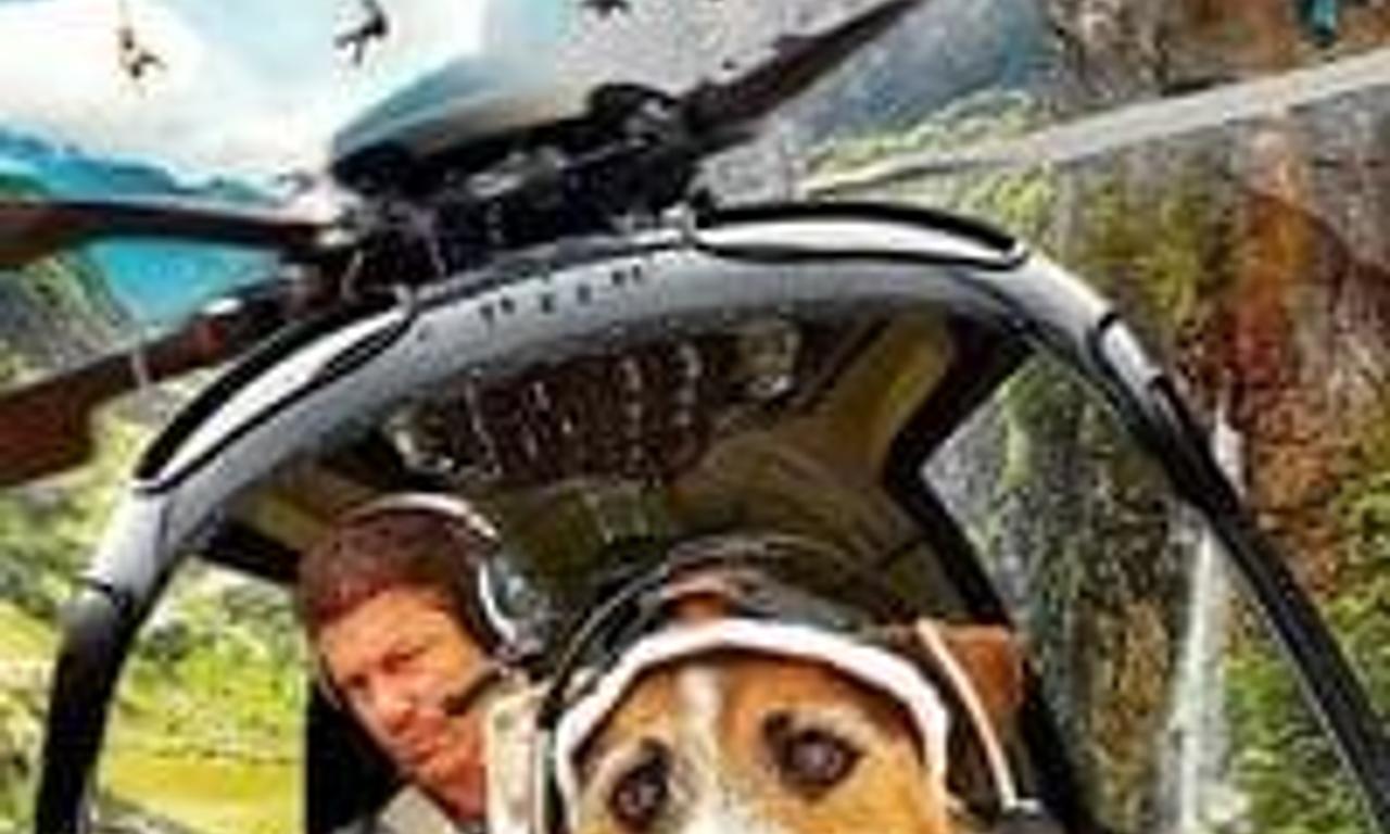 header image for A Doggone Hollywood