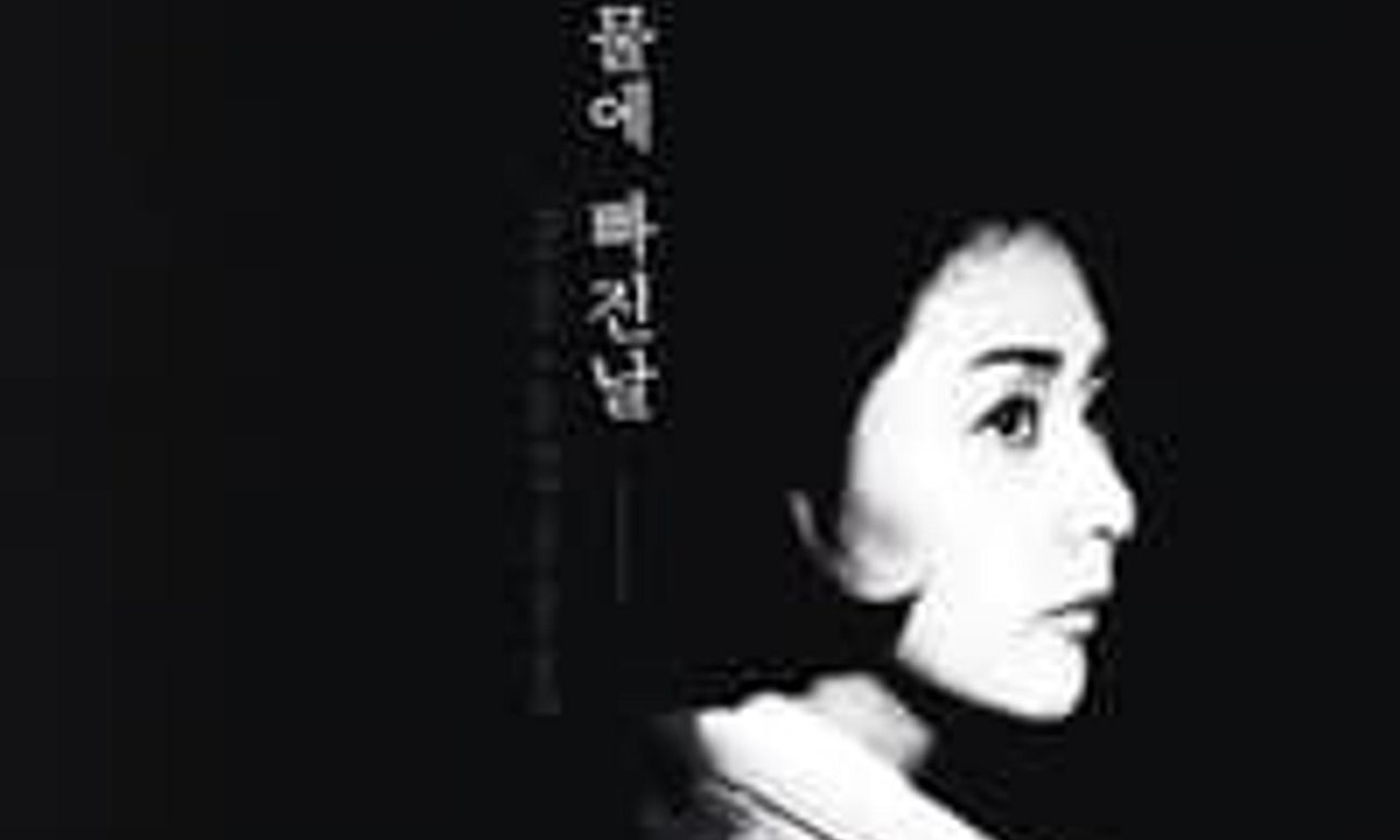 header image for The Day a Pig Fell Into the Well