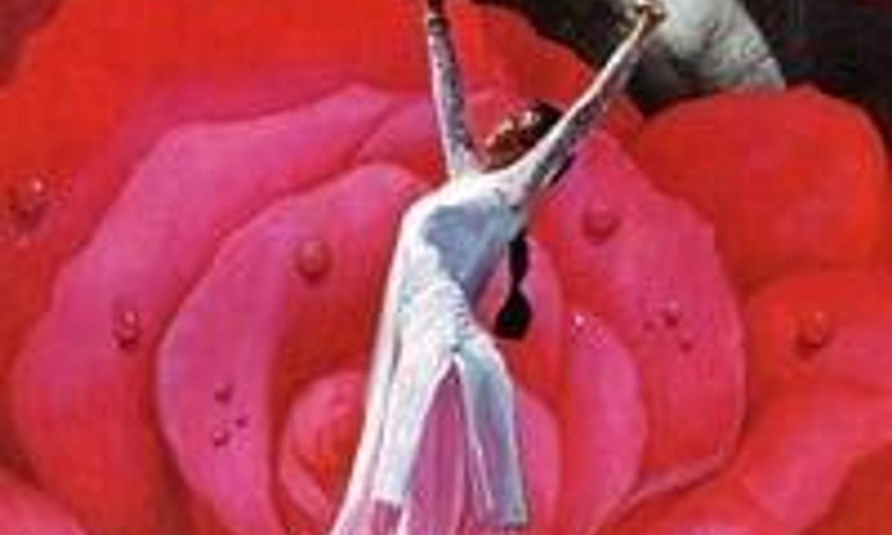 header image for Chandni