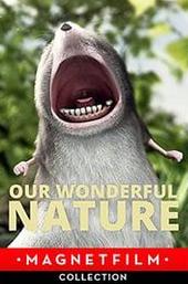 Our Wonderful Nature