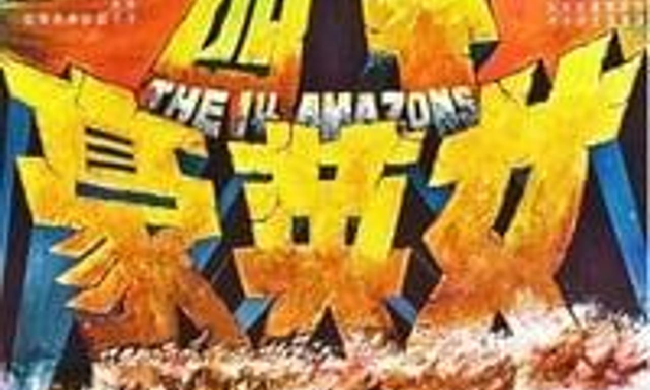 header image for The 14 Amazons