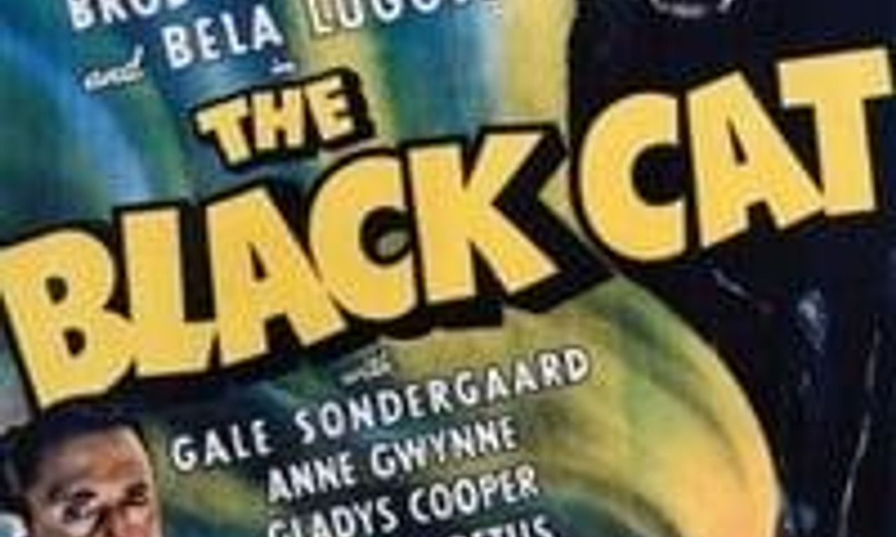 header image for The Black Cat