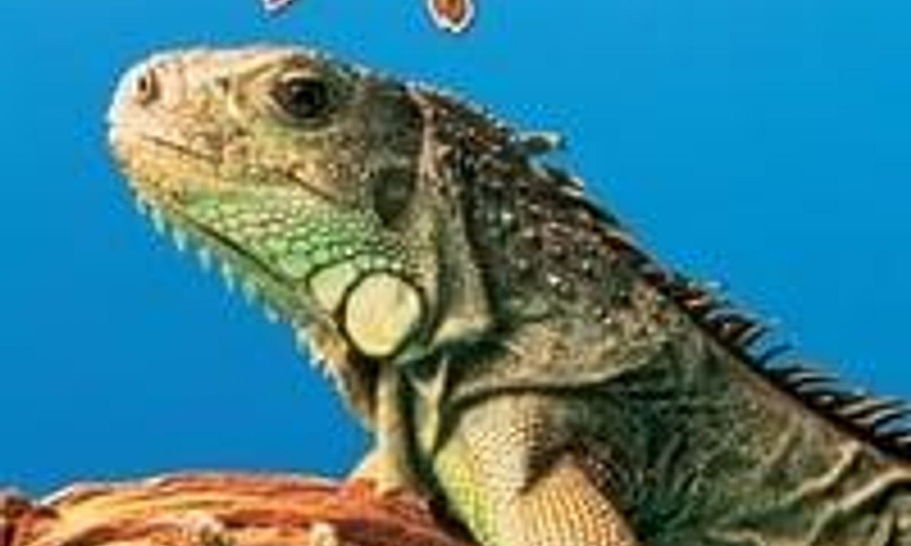 header image for The Living Desert