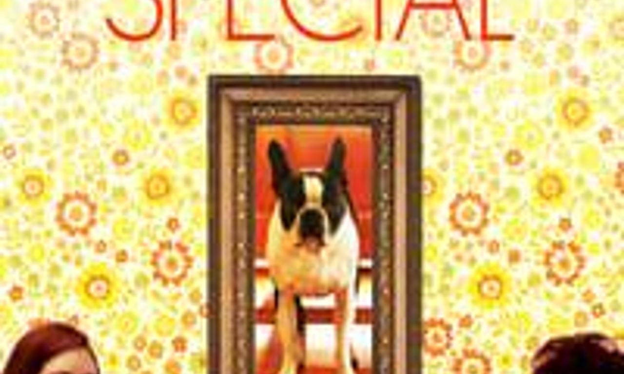 header image for Nothing Special