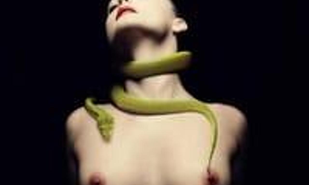 header image for Beast