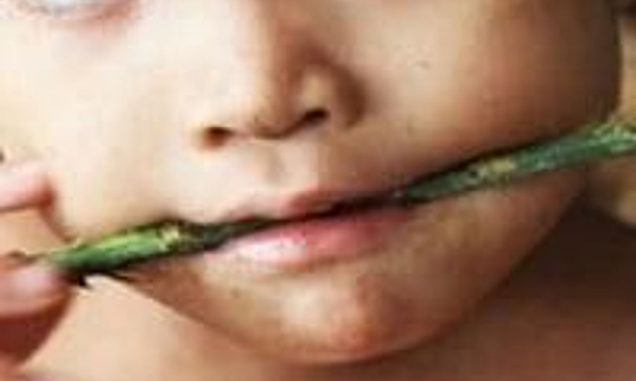 header image for First Contact: Lost Tribe of the Amazon