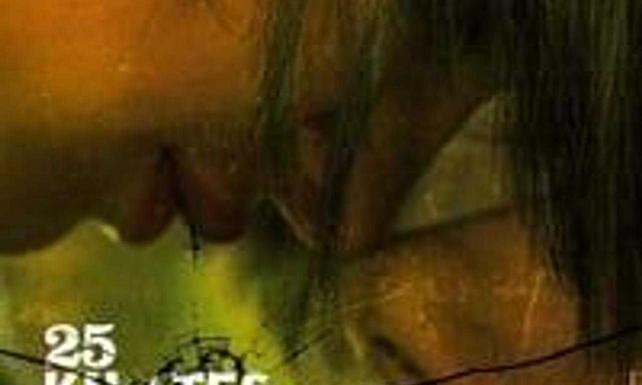 header image for 25 Carat