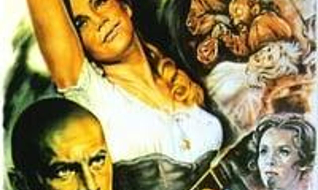 The Brothers Karamazov Where to Watch and Stream Online