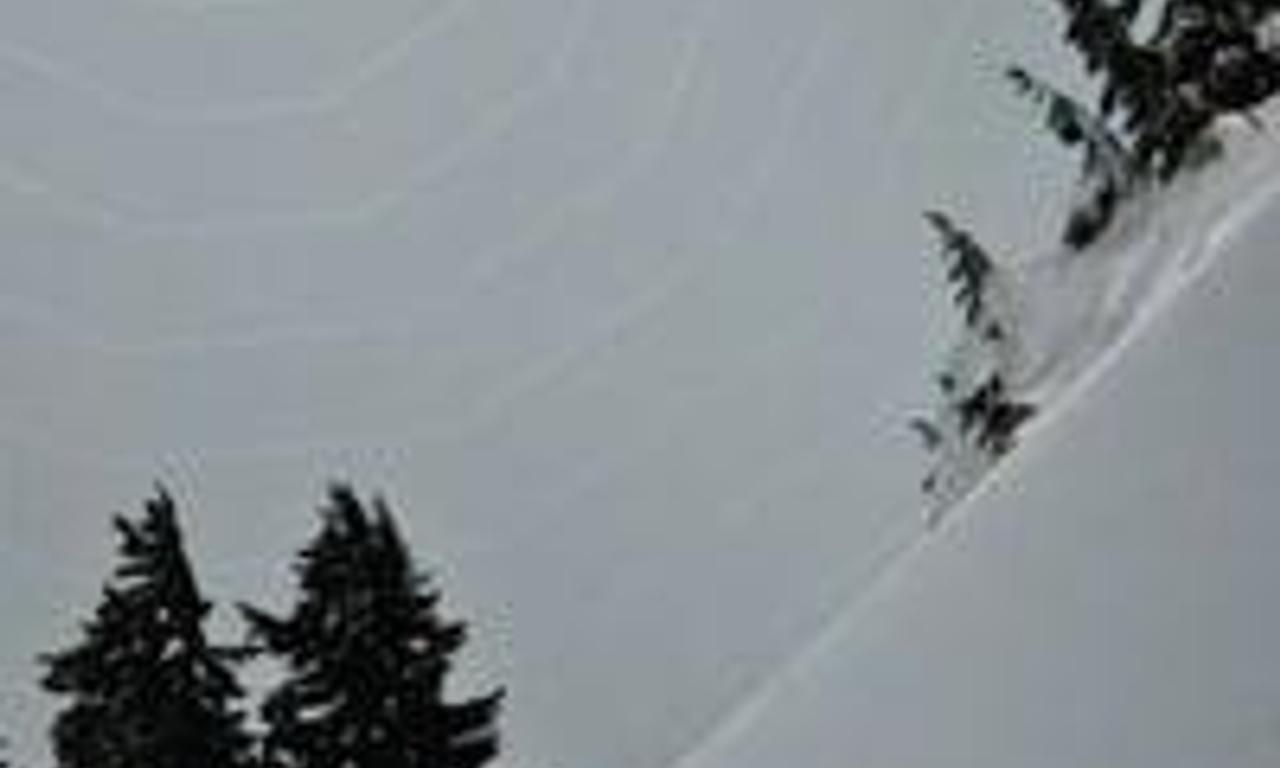 header image for twel2ve