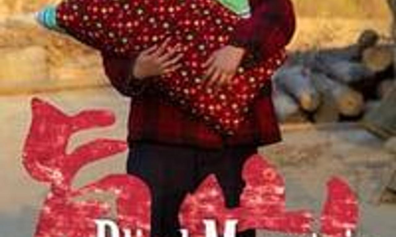 Blind Mountain Where to Watch and Stream Online Entertainment.ie