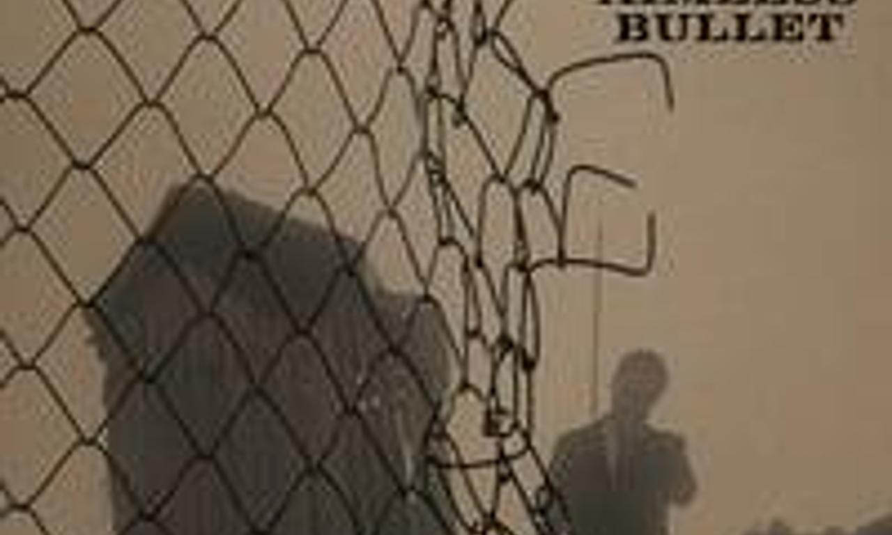 header image for Aimless Bullet