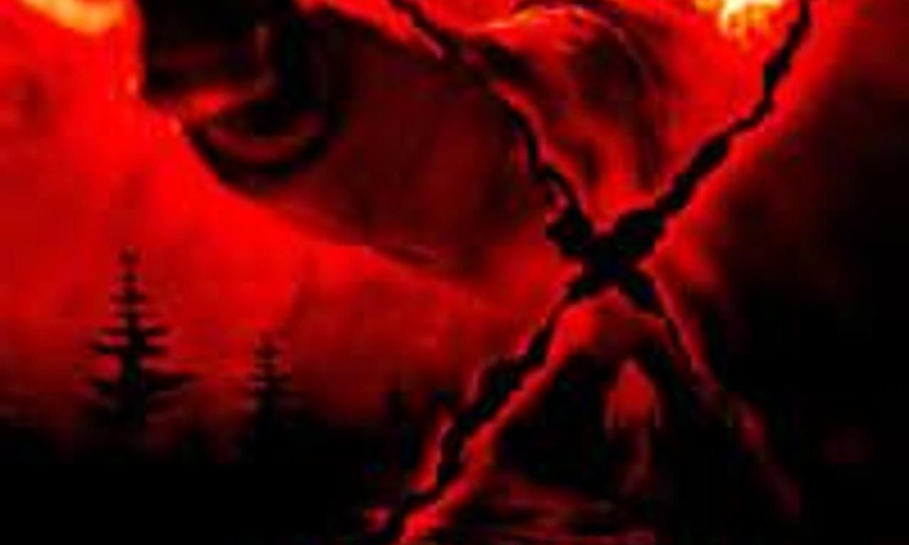 header image for D-Tox