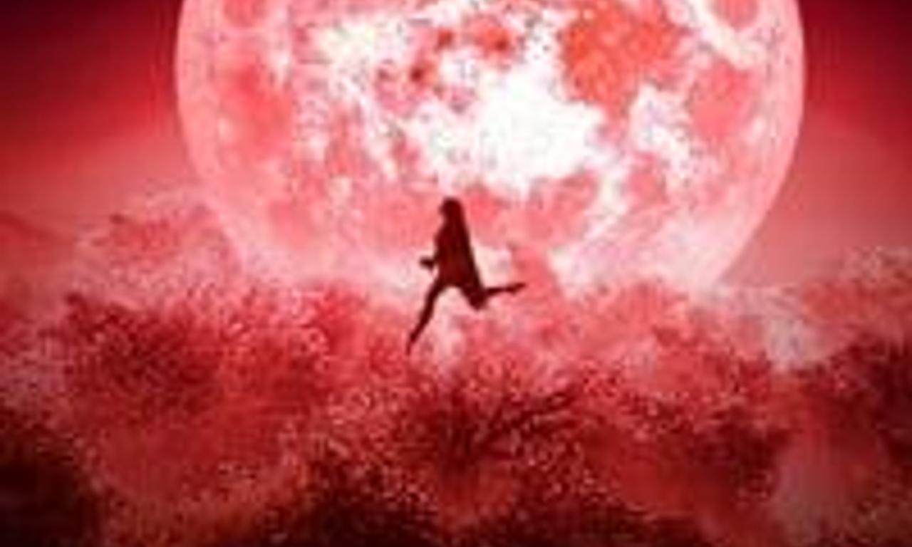 header image for Bulbbul