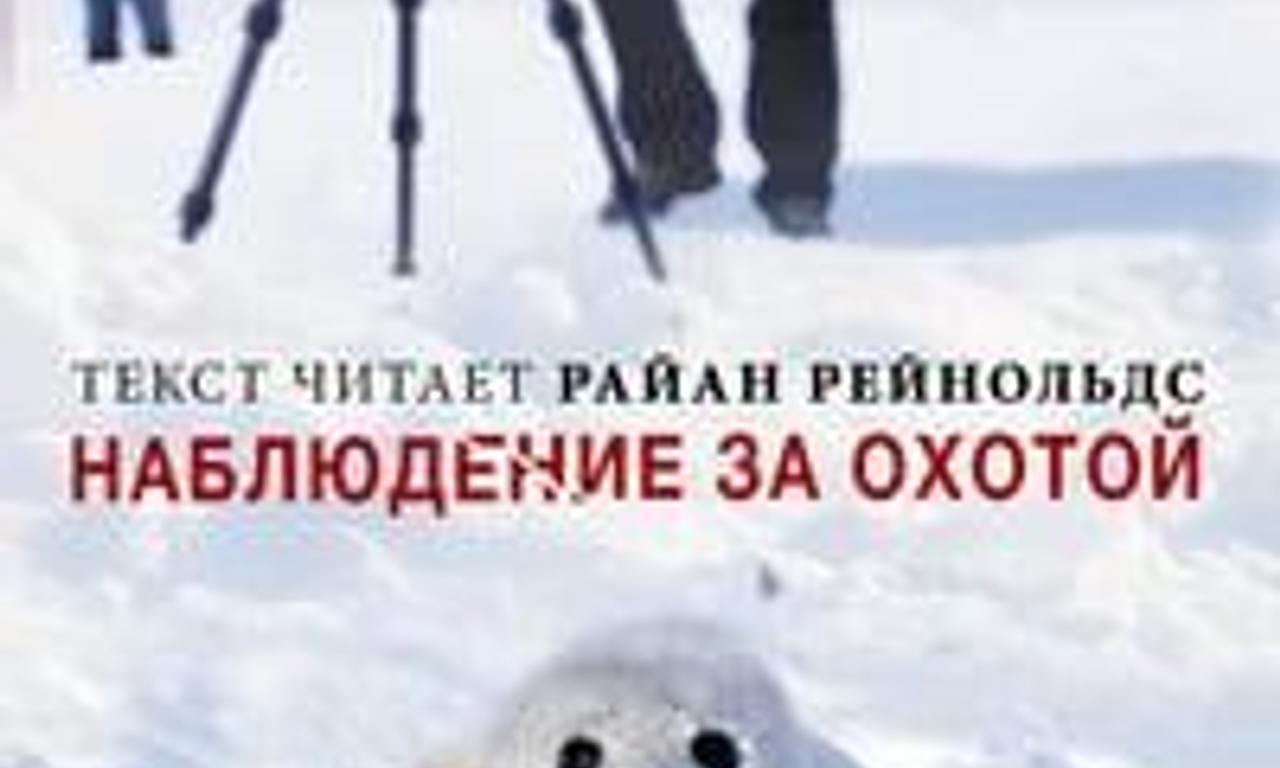 header image for Huntwatch