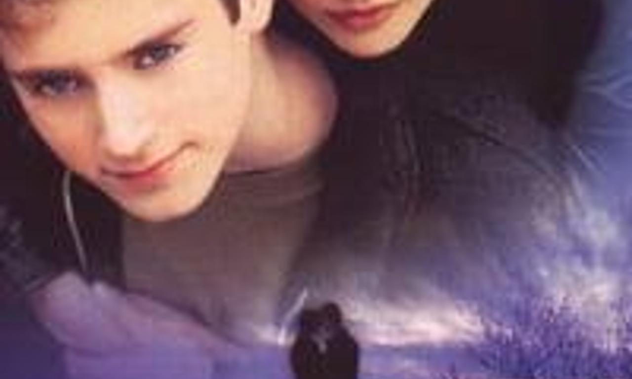 header image for The Bumblebee Flies Anyway