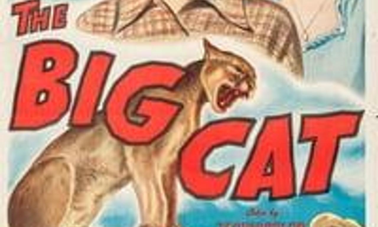 header image for The Big Cat