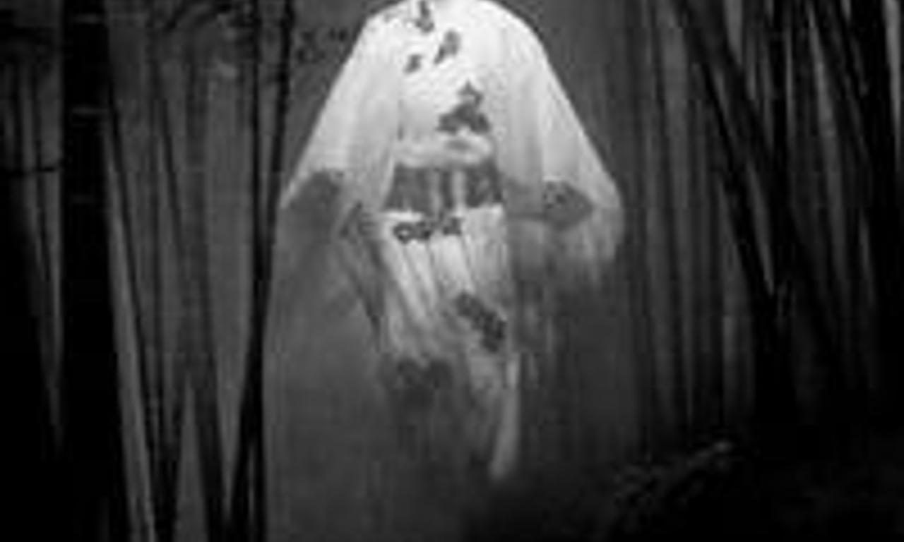 header image for Kuroneko