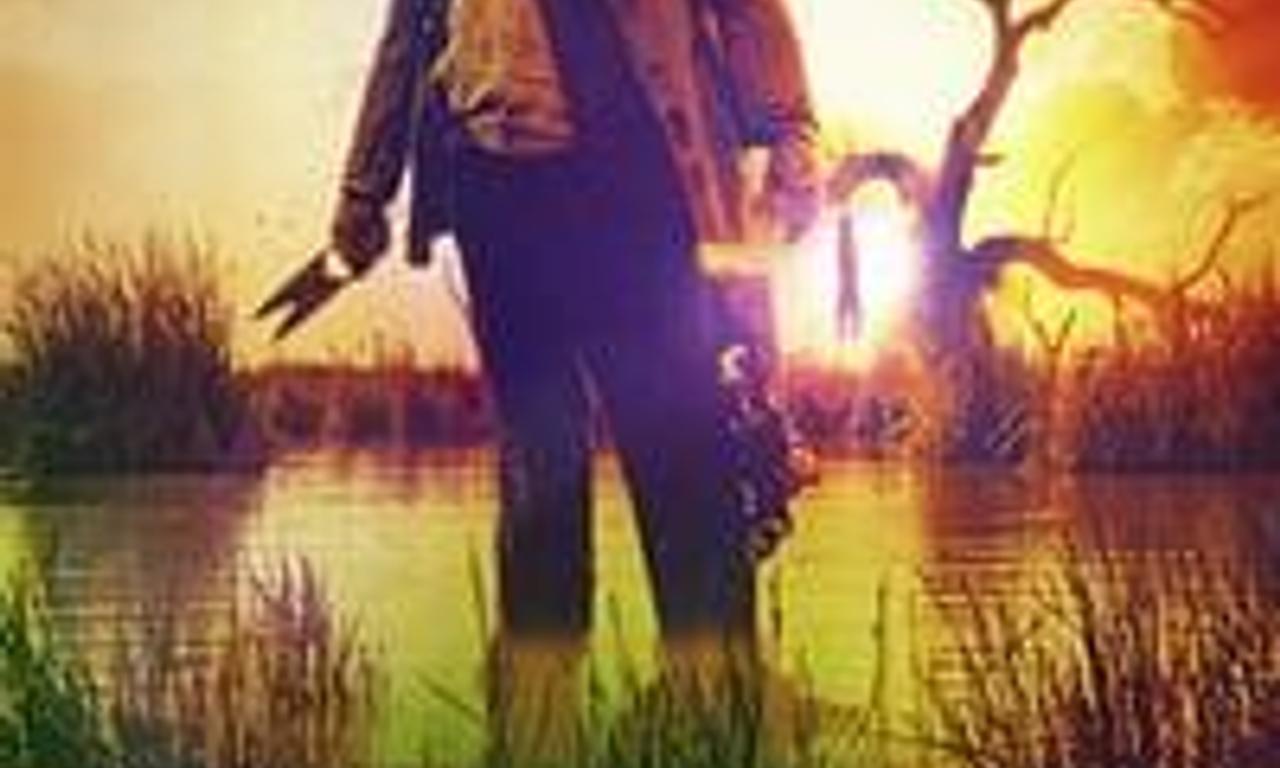 header image for The Marshes