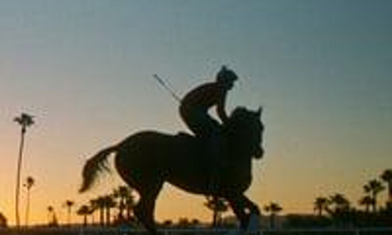 header image for Jockey