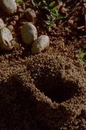 Y Bera : Aguas de Luz