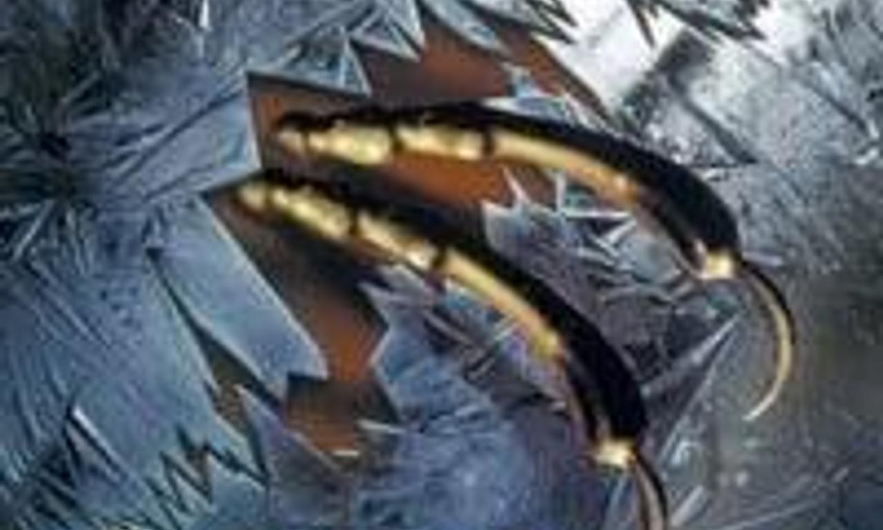 header image for Deep Freeze