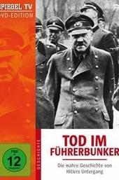 Death in the Bunker: The True Story of Hitler's Downfall