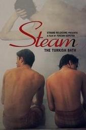 Steam: The Turkish Bath