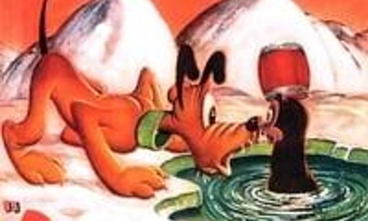 header image for Rescue Dog