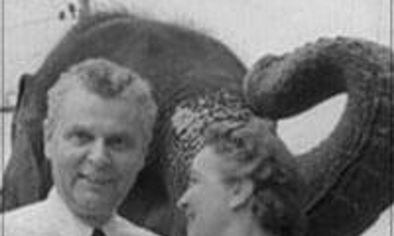 header image for In Bed with an Elephant