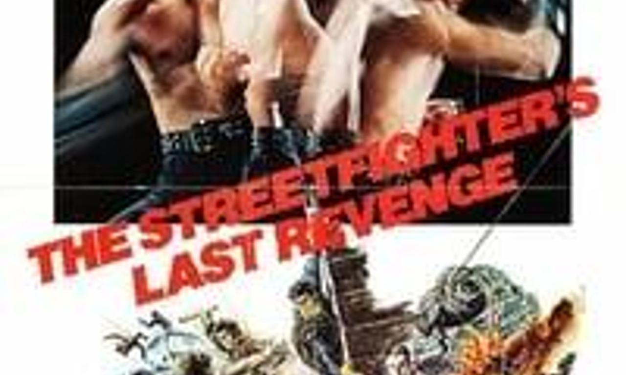 header image for The Street Fighter's Last Revenge