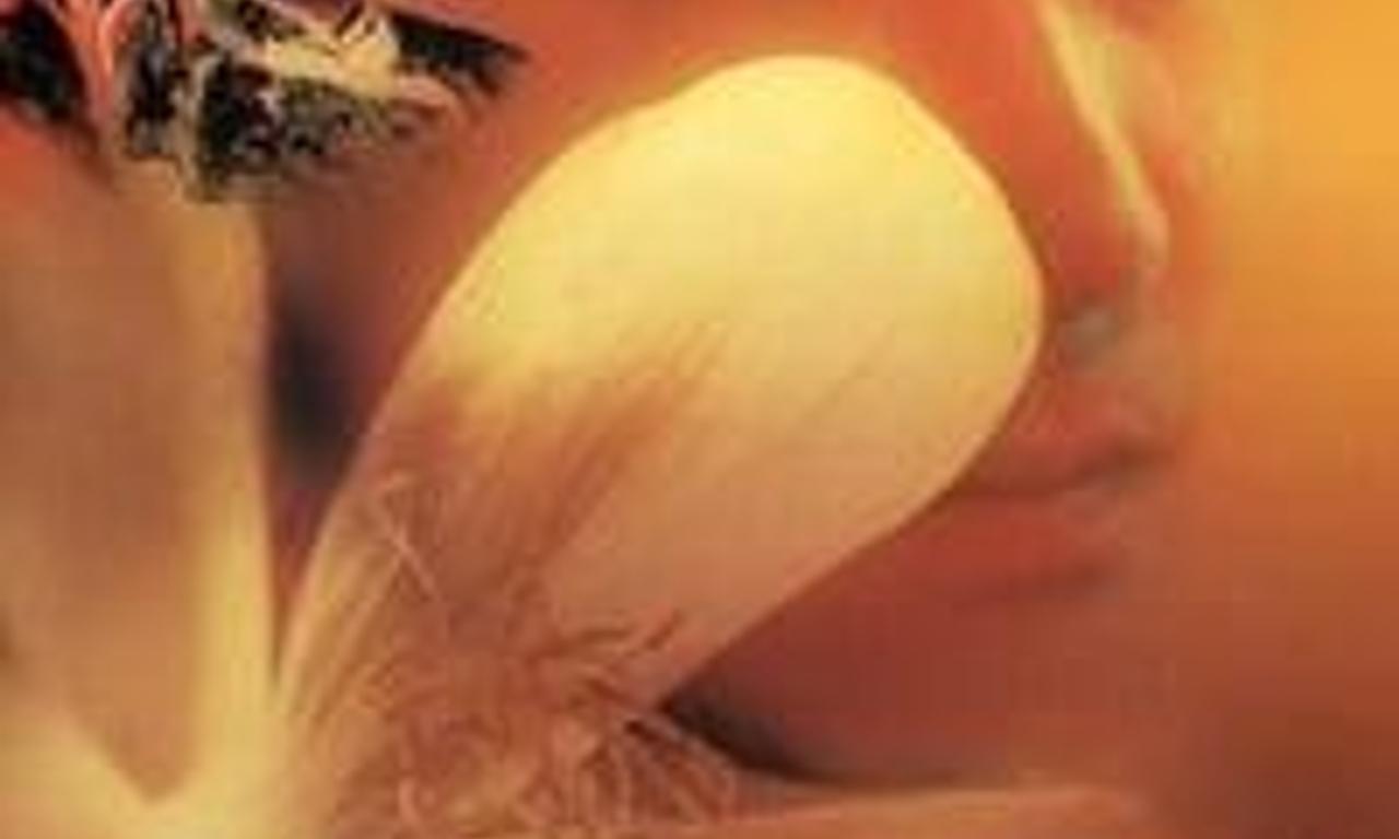 header image for Flowers of Shanghai