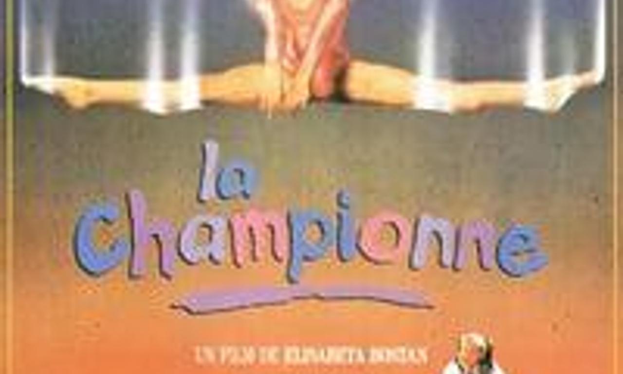 header image for Reach for the Sky