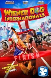 Wiener Dog Internationals