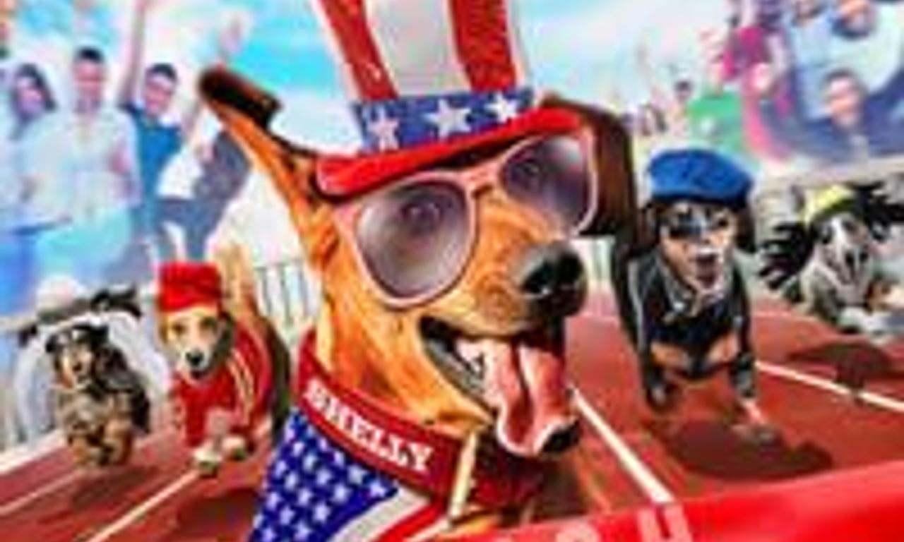 header image for Wiener Dog Internationals