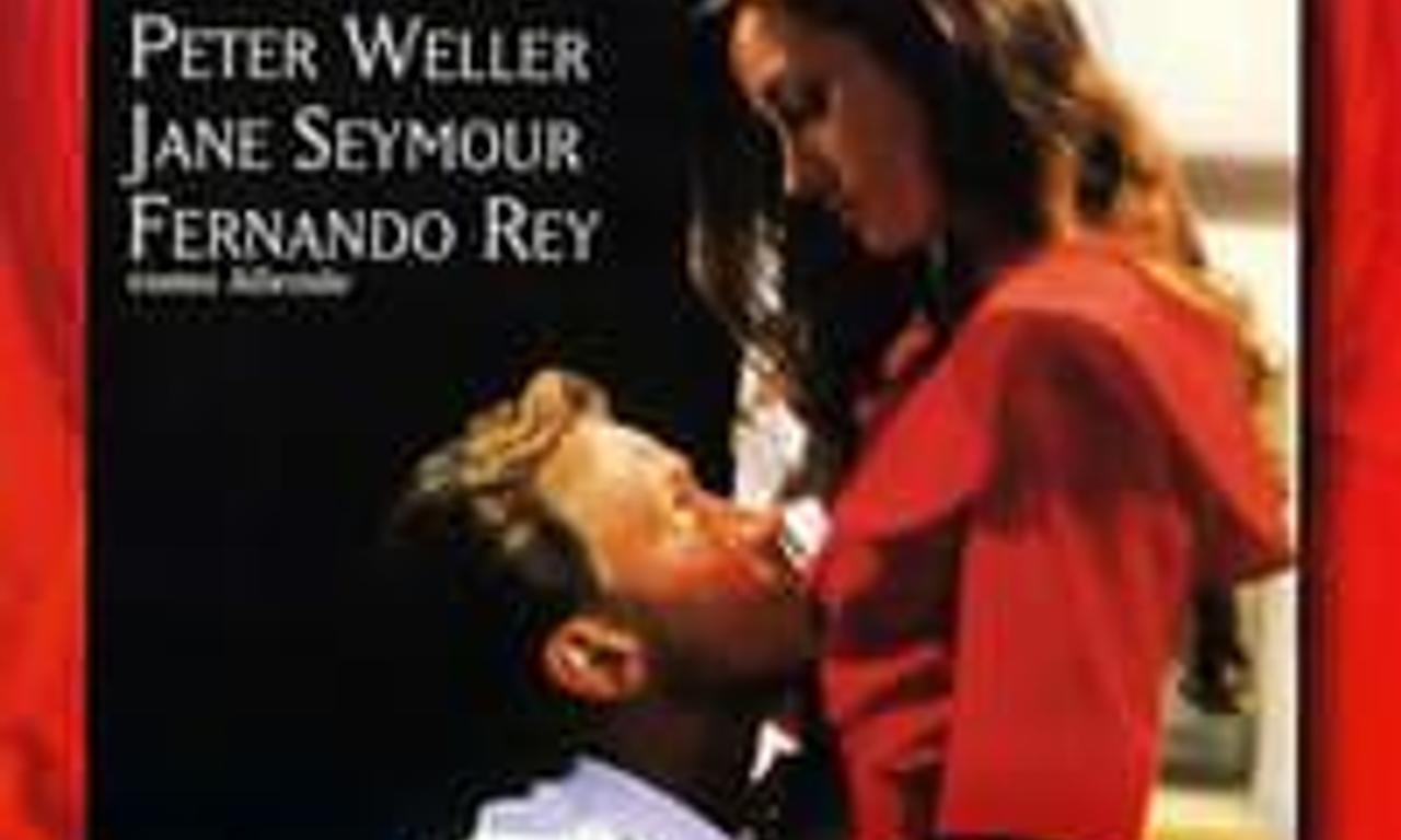 header image for The Tunnel