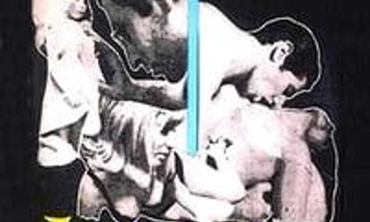 header image for Indecent Desires