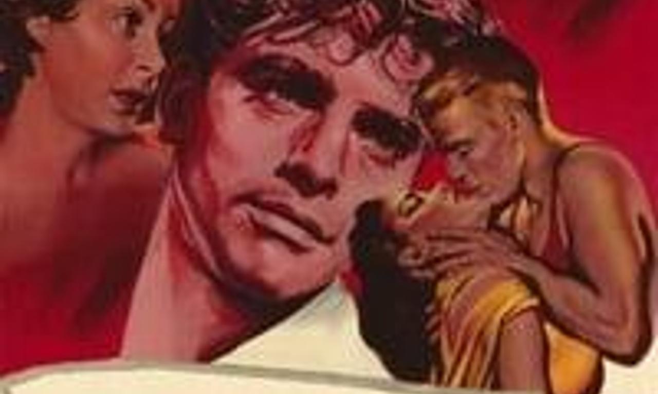 header image for Come Back, Little Sheba