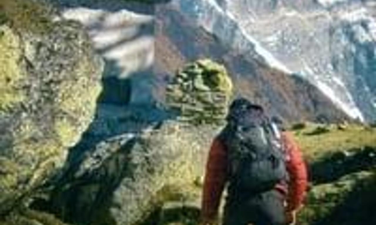 header image for Hunt for the Abominable Snowman