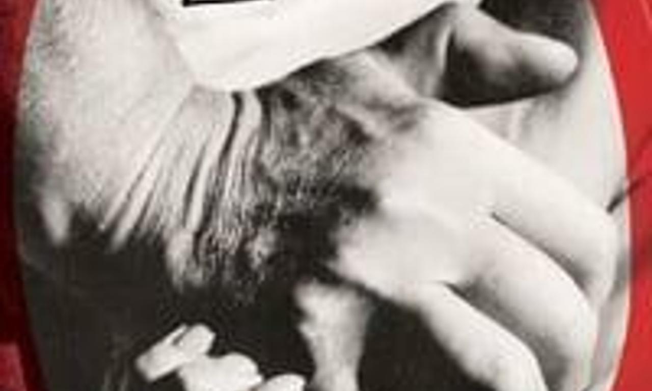 header image for The Lovers