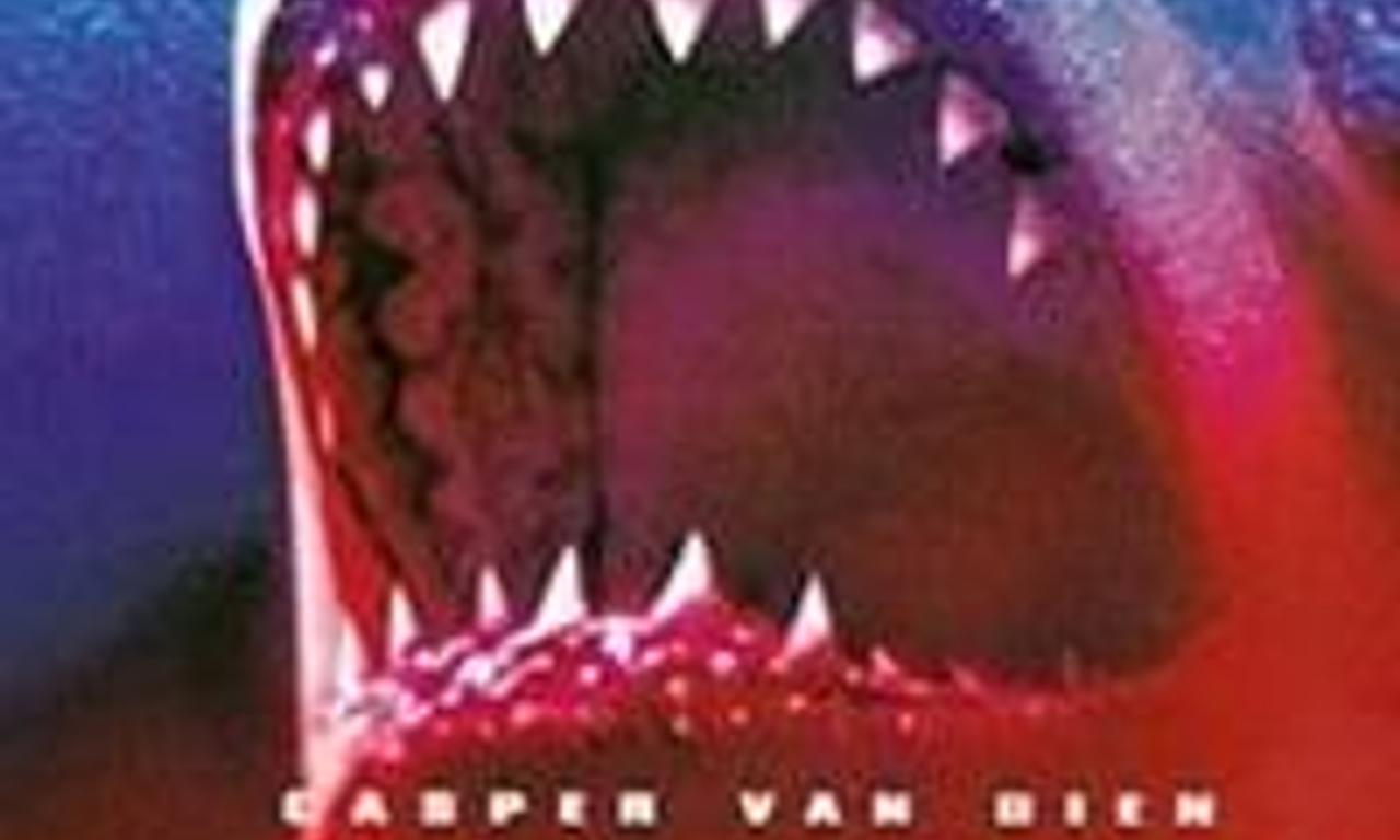 header image for Shark Attack