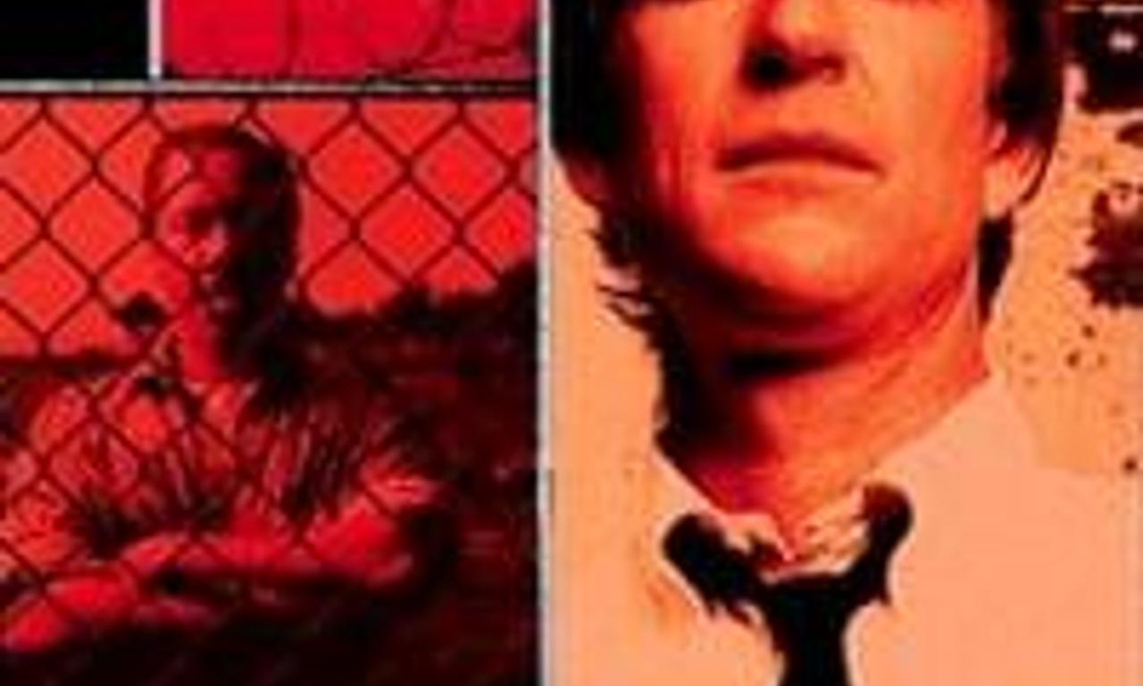 header image for Redeemer