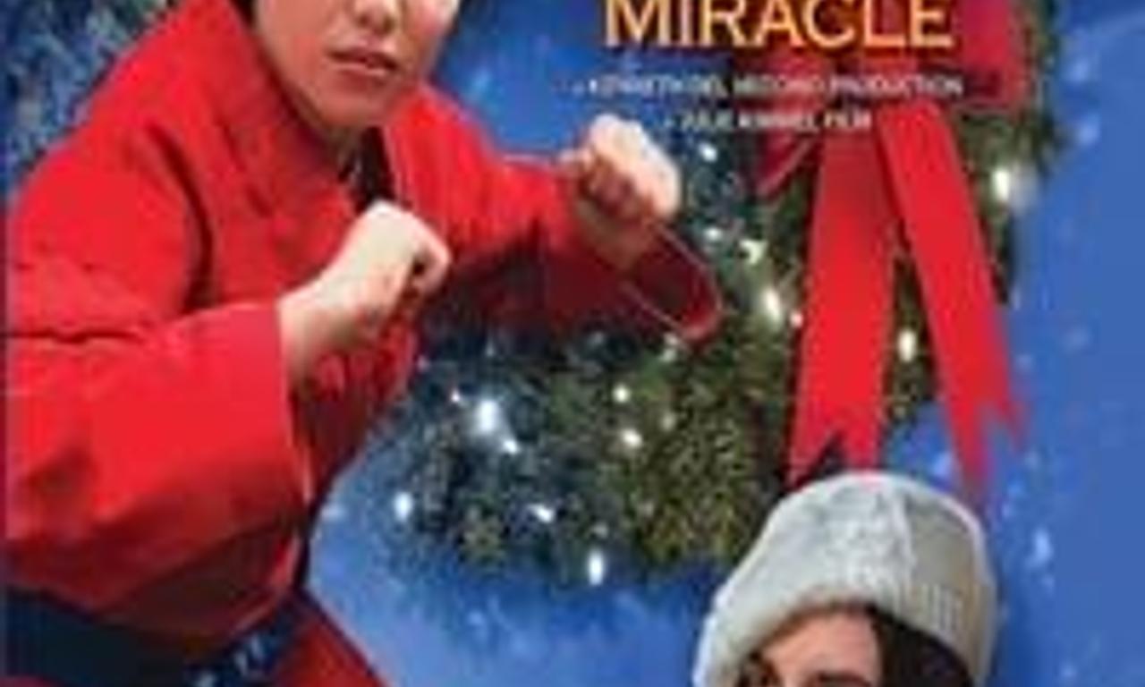 A Karate Christmas Miracle Where to Watch and Stream Online