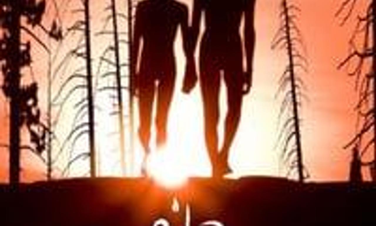 header image for The Forest