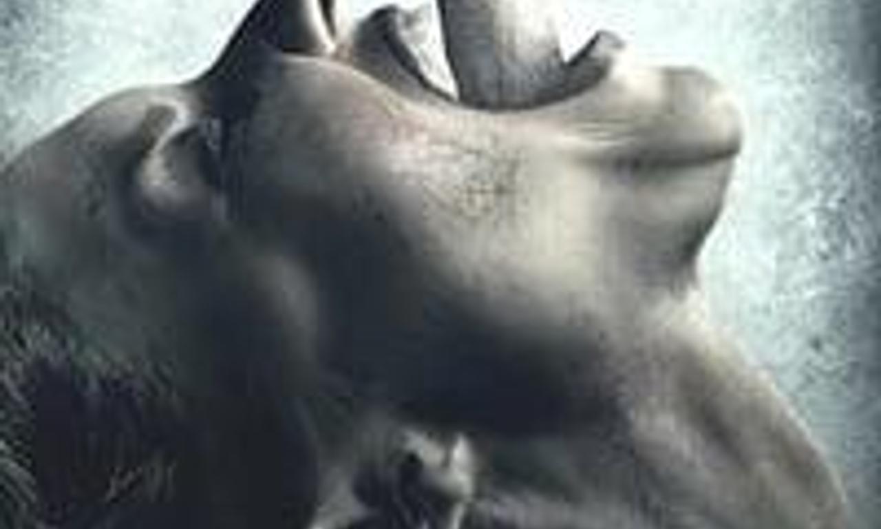 header image for Restraint