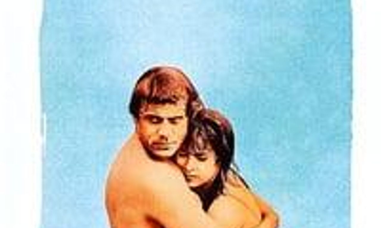 header image for The System